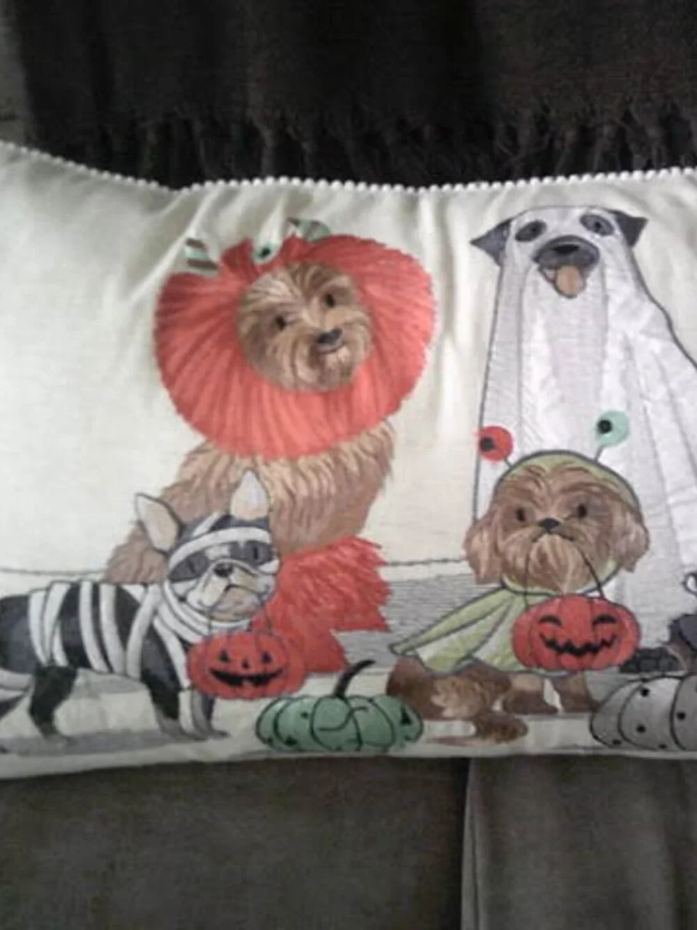 PIER 1 ONE FALL HALLOWEEN PLUSH EMBROIDERED LUMBAR PILLOW DOG PARADE 22